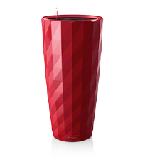 office plants lechuza diamante red